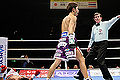 Thumbnail for version as of 21:22, 2 January 2012