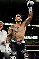 Mcotto.jpg