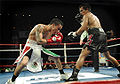 Thumbnail for version as of 04:47, 29 March 2010