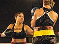 Thumbnail for version as of 02:27, 16 January 2012