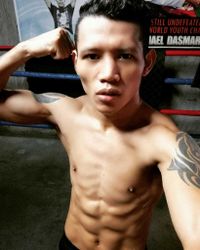 File:Michael Dasmarinas.jpg