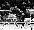 Michael Spinks vs. Gerry Cooney . 122. Fasan.jpg