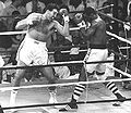 Michael Spinks vs. Gerry Cooney . 130. Fasan.jpg