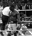 Michael Spinks vs. Gerry Cooney . 220. Fasan.jpg