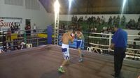 File:Michel Da Silva vs. Reginaldo Martins Carvalho (13).jpg
