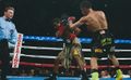 MidWest Boxing show USA 001.jpg