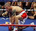 Miguel Angel Cotto.704400.jpg