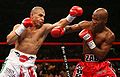 Miguel Angel Cotto.74584.jpg
