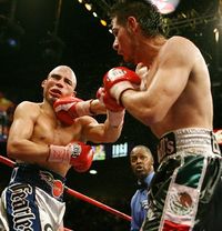 File:Miguel Angel Cotto.903020.jpg
