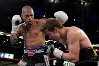File:Miguel Angel Cotto.9854000.jpg