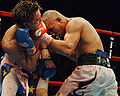 Miguel Angel Cotto.jpg