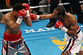 Miguel Angel Cotto vs. Randall Bailey.01.jpg