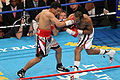 Miguel Angel Cotto vs. Randall Bailey.05.jpg