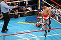 Miguel Angel Cotto vs. Randall Bailey.08.jpg