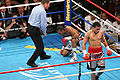 Miguel Angel Cotto vs. Randall Bailey.09.jpg