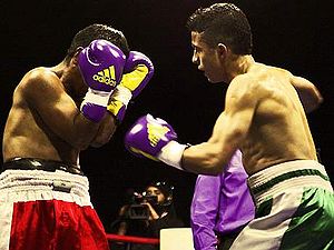 Miguel Gonzalez vs. Pedro Cardenas.jpg