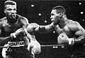 Mike Tyson vs. Alfonzo Ratliff . Fasan.jpg