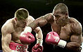 Thumbnail for version as of 04:09, 22 December 2010