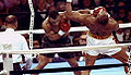 Mike Tyson vs. Donovan Ruddock . Fasan.jpg