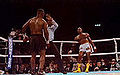 Mike Tyson vs. Donovan Ruddock . Fasan 1.jpg