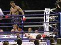 Mike Tyson vs. Lou Savarese . Fasan ..jpg