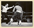 Thumbnail for version as of 21:03, 19 September 2010