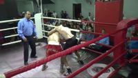 File:Mohamed Elimy vs. Ayman Ashour 012.jpg