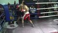 Thumbnail for version as of 14:11, 17 June 2018