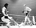 Muhammad Ali vs. Chuck Wepner . Fasan.jpg