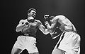 Muhammad Ali vs. Ernie Terrell . Fasan . jpg.jpg