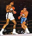 Muhammad Ali vs. Jerry Quarry .jpg