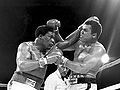 Muhammad ali trevor berbick Zach Clayton Referee 02-02-12.jpg