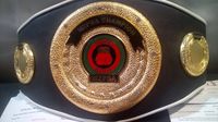 File:NZPBA Title.jpg