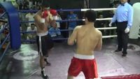 File:Nabil Zaks vs. Omar Kamel 013.jpg