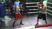 File:Nabil Zaks vs. Omar Kamel 021.jpg