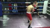 File:Nabil Zaks vs. Omar Kamel 031.jpg