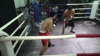 File:Nabil Zaks vs. Omar Kamel 037.jpg