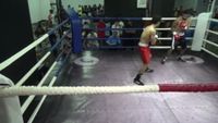File:Nabil Zaks vs. Omar Kamel 039.jpg