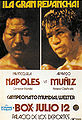Napoles muniz POSTER.jpg