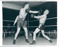File:Nelson-Coulon39.jpg