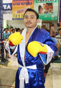 File:Ngaotawan Sithsaithong.jpg