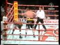 Nielsen vs Hunter IBO.jpg
