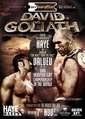 Nikolay Valuev vs. David Haye (poster 2).png