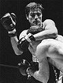 Nino Benvenuti vs. Doyle Baird . Fasan.jpg