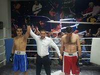 File:Njemcevic Amar vs Goran Ristic.jpg