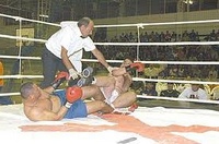 File:No-kicking-.jpg