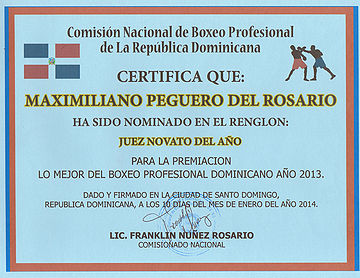 Nominacion Maximiliano Peguero del Rosario.jpg