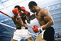 Norton-Young 137380936.jpg