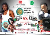 File:Official Poster 735712.jpg
