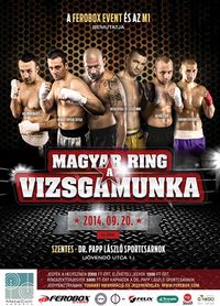 File:Official poster 2014-09-20.jpg